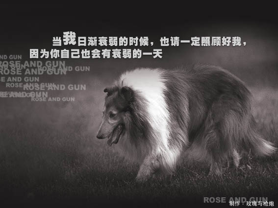 58880667[1].jpg